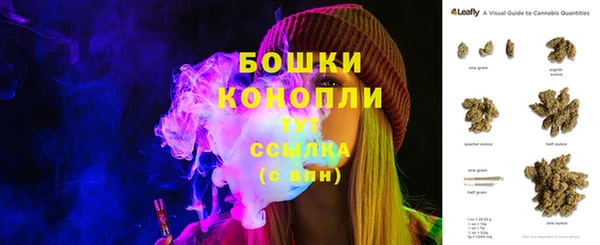 mdpv Вяземский