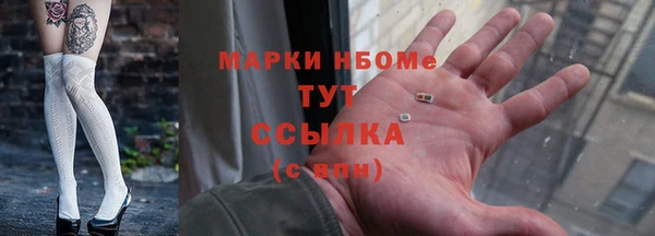 индика Волоколамск