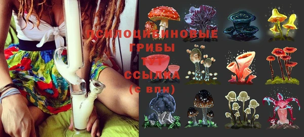 прущие крисы Вязники