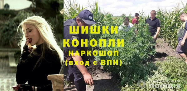 mdpv Вяземский