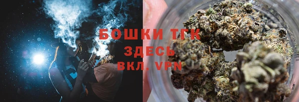 mdpv Вяземский