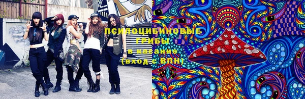 mdpv Вяземский